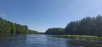 Сплав по реке Шуя