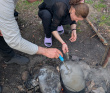 Водопады Ладожской Карелии