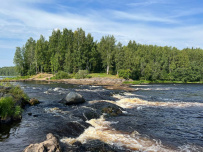 Сплав по реке Шуя