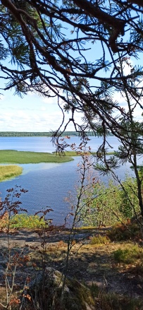 Прогулка вокруг парка Монрепо на каяках (байдарках)