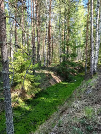 Пеший поход «Край покинутых деревень»