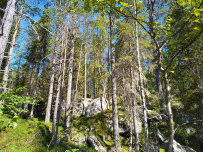Крыша Карелии (национальный парк Паанаярви)