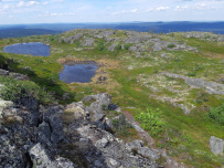 Крыша Карелии (национальный парк Паанаярви)