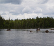 Сплав по реке Кереть и Белое море