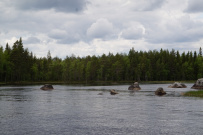 Сплав по реке Кереть и Белое море