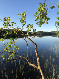 Сплав по реке Кереть и Белое море