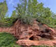 Оредеж — прогулка на байдарках (1 день)