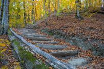 Комфорт-тур Сочи-Лайт