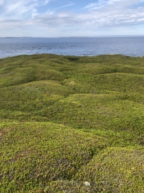 Кемские шхеры и загадочные Кузова. По белому морю на морских каяках (с лодкой)