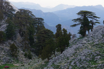 По Ликийской тропе через горы к морю (классический пеший поход)
