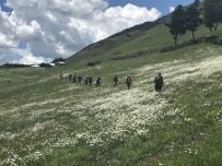 Сванетия налегке (ночевки в гестхаусах)