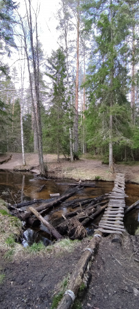 По следам Лыжной Стрелы