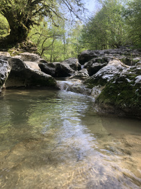 Сказка Кодорского ущелья