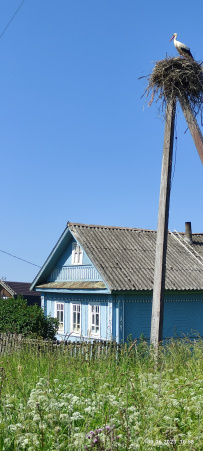 Дорогой новгородских купцов. Велопоход
