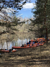 Сплав по реке Поля «Cквозь лес на байдарках»