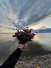 Сплав по реке Кереть и Белое море
