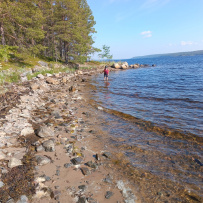 Сплав по реке Кереть и Белое море