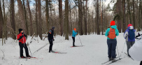 Лыжи: обучение коньковому ходу