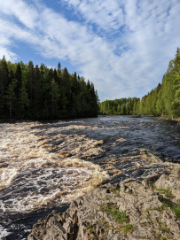 Сплав по реке Шуя