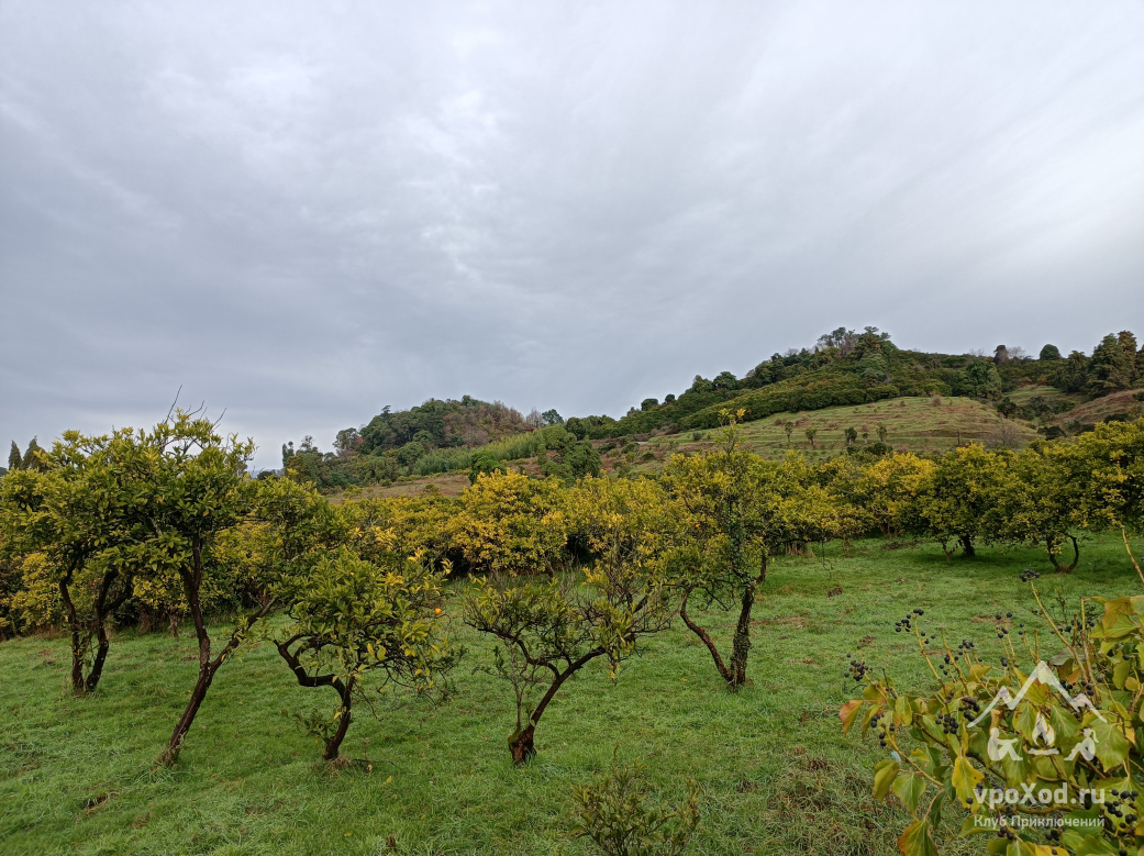 Абхазия на ладони (активный тур с детьми)