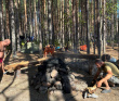 Сплав по реке Поньгома
