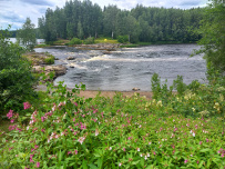 Сплав по реке Шуя
