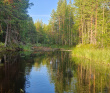Сплав по реке Воньга и Белое Море на байдарках