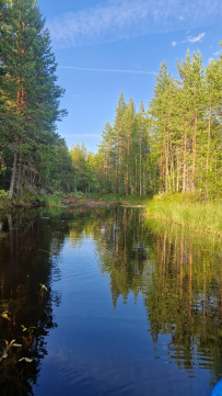Сплав по реке Воньга и Белое Море на байдарках