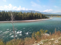 Алтай на байдарках: сплав по рекам Кокса и Катунь 