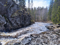 Сплав по реке Китенйоки
