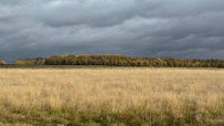 Однодневный пеший поход «Дорога в Лавру» (Хотьково — Семхоз)