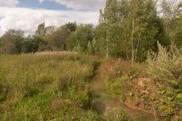 Однодневный пеший поход «Гремячий ключ» (Подмосковье)