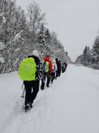 Новомосковская ТроПешка