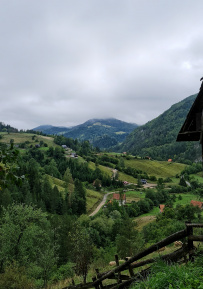 Великий горный край: природа западной Сербии (треккинг-тур в национальный парк Тара)