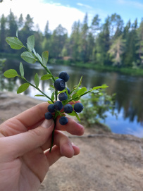 Сплав по реке Шуя
