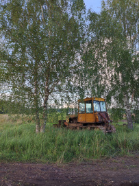 Пеший поход «Лесное путешествие» (Подмосковье)