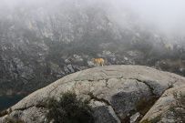 Перу — Кордильеры Уайуаш