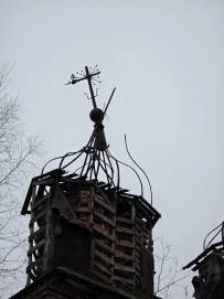 Однодневный пеший поход «В гости к зубрам» (Подмосковье)