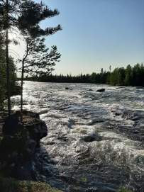 Сплав по реке Умба