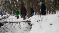 Экстремальный поход c основами обучения выживанию (зимняя ночёвка)