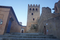 Все цвета королевства контрастов