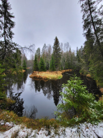 К Рощинскому обрыву