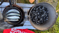 Соловецкие острова на морских каяках