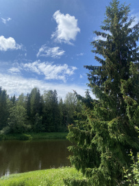 Сплав по реке Волга с Бенскими порогами (Тверская область)