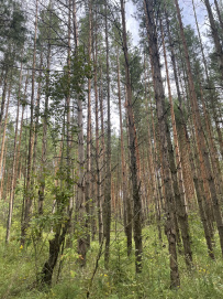 Пеший поход «В долину семи озёр»