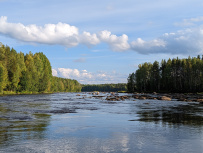 Сплав по реке Шуя