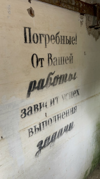 Пеший поход по южному берегу Финского залива