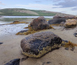 Кемские шхеры и загадочные Кузова. По белому морю на морских каяках (с лодкой)