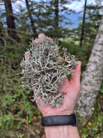 По следам Хозяйки Медной горы: поход с детьми (пеший+сплав)