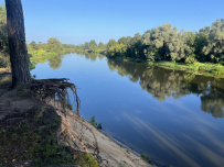 Сплав с баней по реке Клязьма